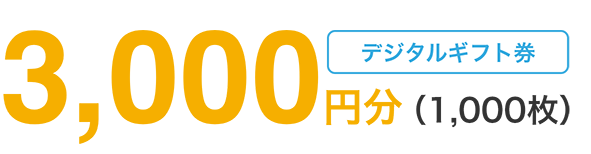 3,000円分 デジタルギフト券（1,000枚）