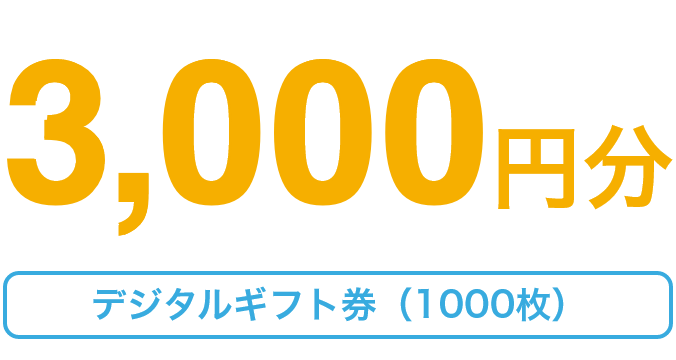 3,000円分 デジタルギフト券（1,000枚）